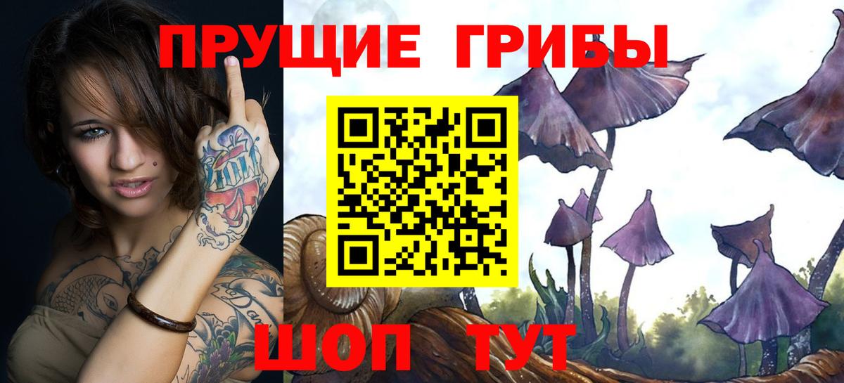 Псилоцибиновые грибы GOLDEN TEACHER Вышний Волочёк