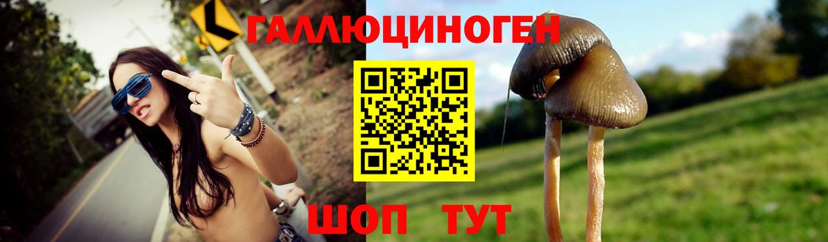 Вышний Волочёк  Галлюциногенные грибы MAGIC MUSHROOMS  Вход с VPN 